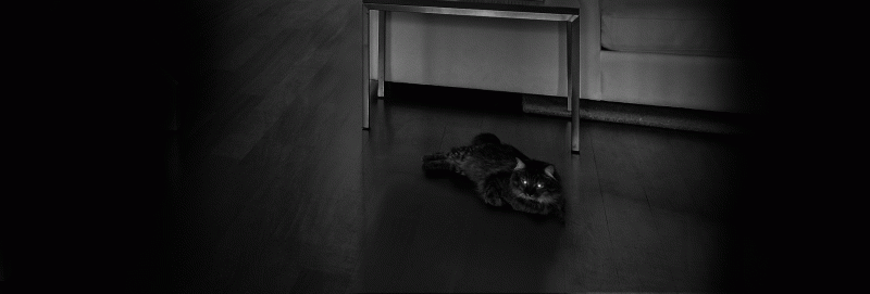 6411 Camera Wife Ezviz C6w 4mp Quay Quet 360 Do3