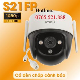 S21fp 888