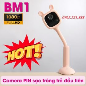Bm1