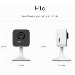 H1c